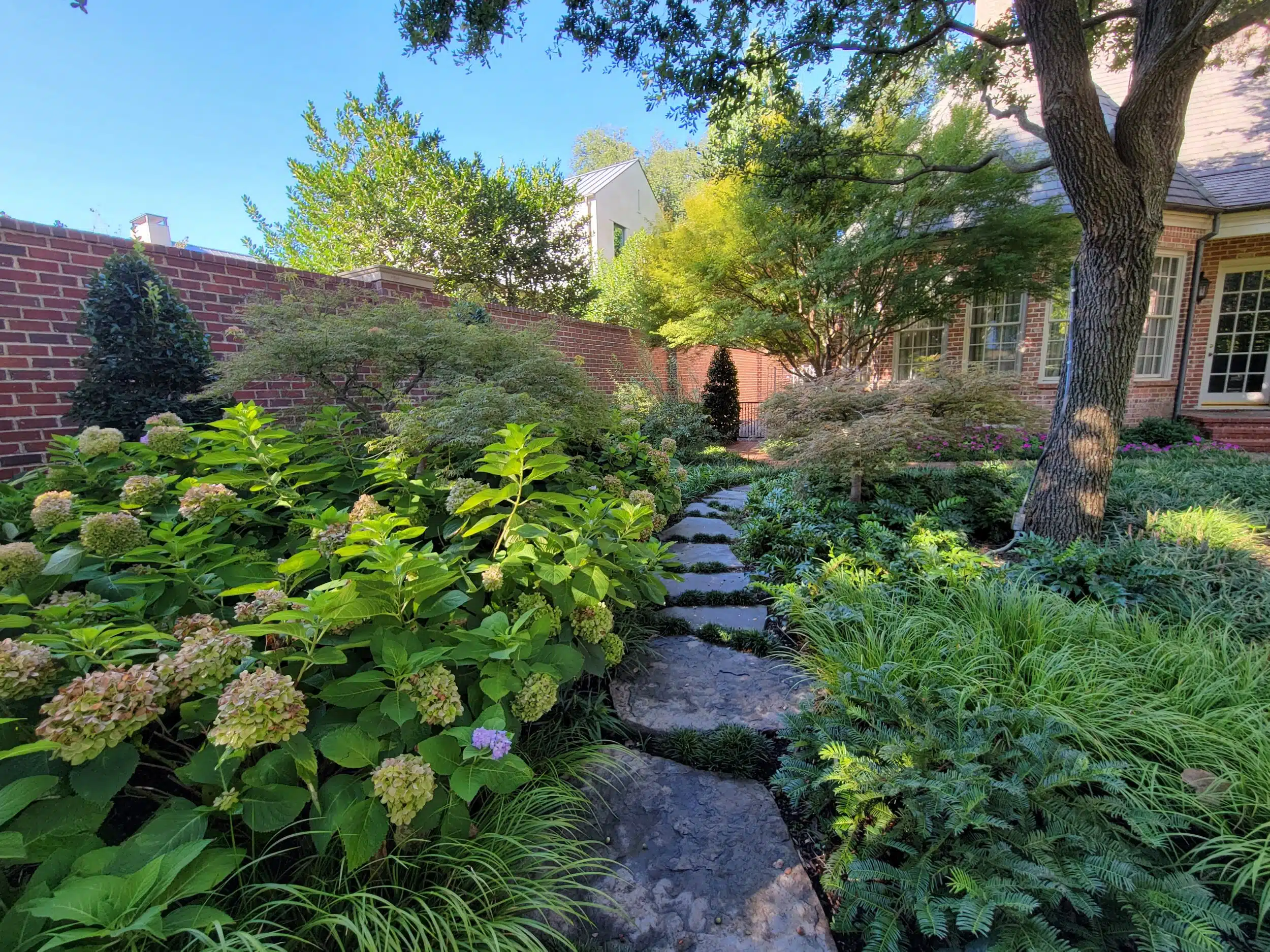 Landscape Design Southlake