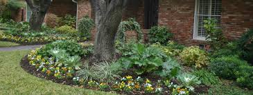 Landscape Design project 11 in Southlake