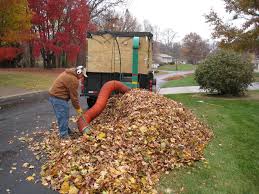 Leaf Cleanup project 6 in Southlake