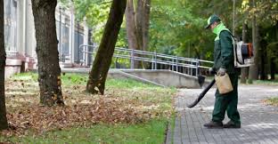 Leaf Cleanup project 7 in Southlake