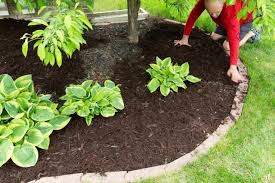 Mulch Installation example 3